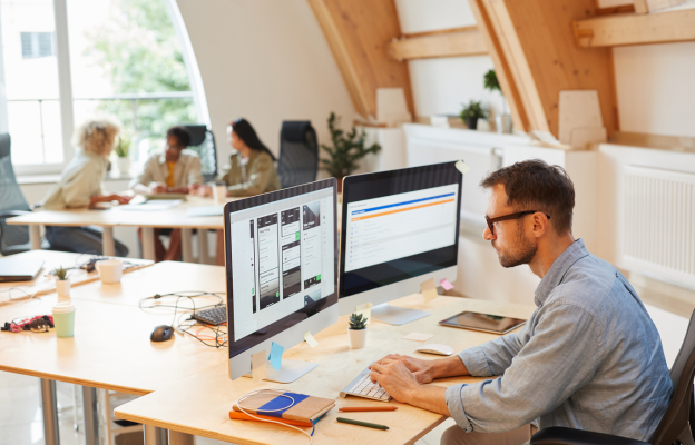 Software development